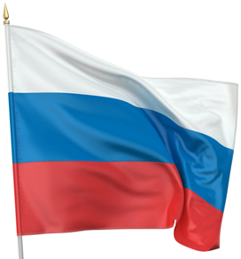 Государственный флаг РФ 135*90